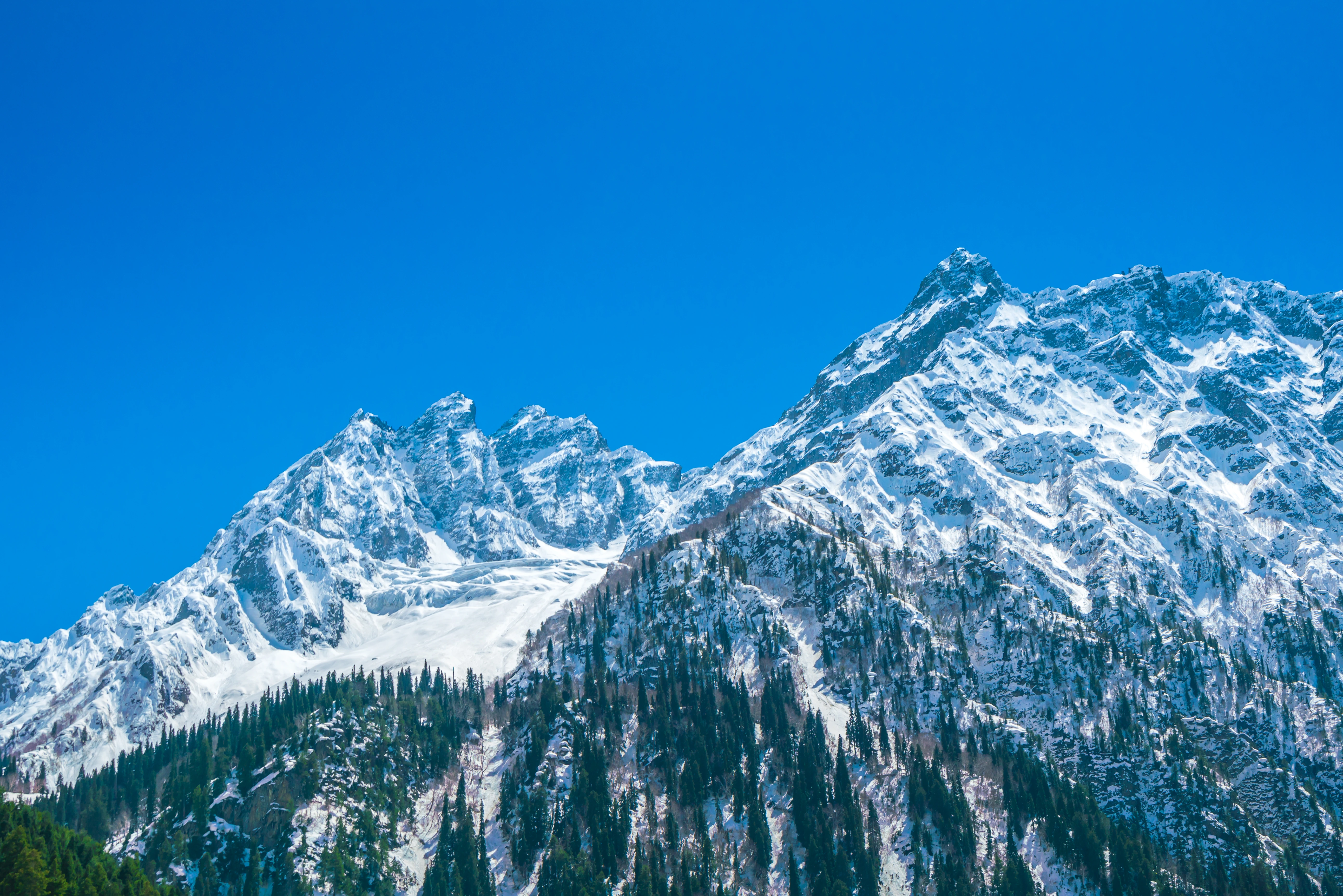 Kashmir Family Package 6N/7D