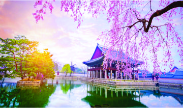 International packages